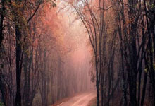 开云平台-钢铁意志！德国战车加时绝杀突围，死亡之组出线曙光刺破迷雾