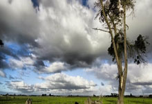 -WBG逆转HLE，Gumayusi惊艳世界——电竞舞台的巅峰对决与新生力量的崛起