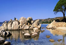 开云体育-国足轻取意大利队1:3，哈兰德补时绝平亚洲杯